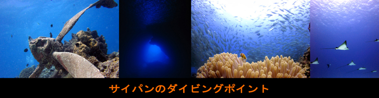 ダイビングスポット